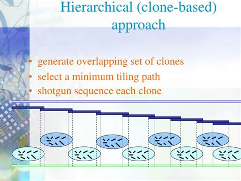 Ppt Topics In Nano Biotechnology Human Genome Project Lecture 12 Powerpoint Presentation