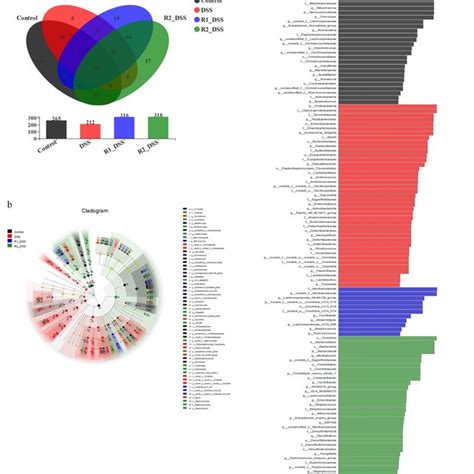 Venn And LEfSe Analysis Of Gut Microbiota A Venn Diagram Of OTU