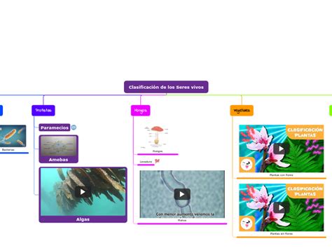 Clasificación de los Seres vivos Mind Map