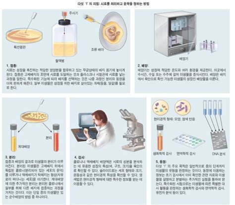 미생물 배양 한국의과학연구원 미생물분석센터 네이버 블로그