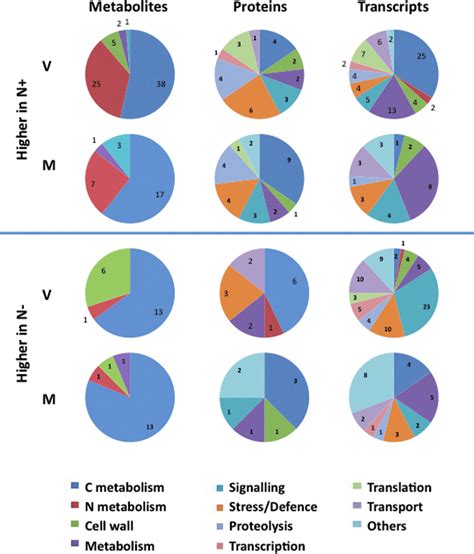 Functional Categories Of Metabolites Proteins And Gene Transcripts