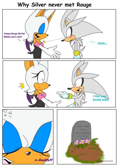 why silver never met rouge - Silver the Hedgehog Photo (19594661) - Fanpop