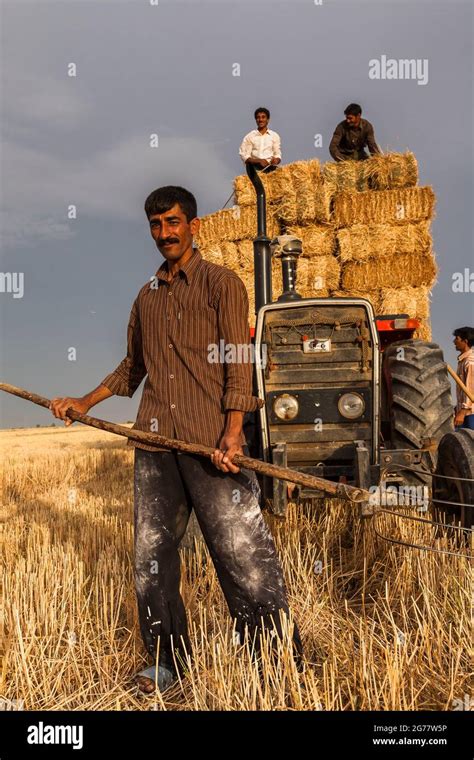 Farmers And Straw Hi Res Stock Photography And Images Alamy