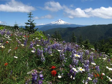 Bezienswaardigheden Mount Hood Parkdale Oregon