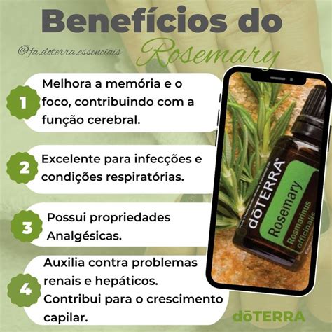 Rosemary D Terra Em Leo Essencial Leos Essenciais Doterra