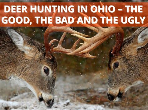 Deer Hunting Pictures With Quotes