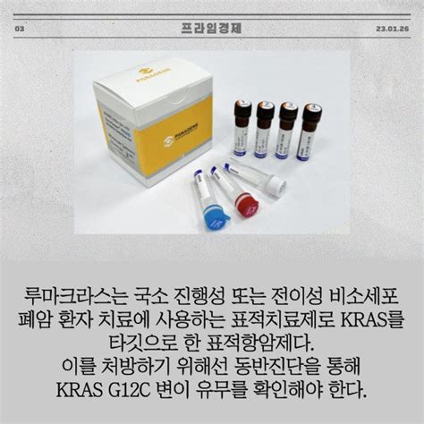 카드 파나진 온코텍터 Kras 표적항암제 처방 동반진단 허가 획득 네이트 뉴스