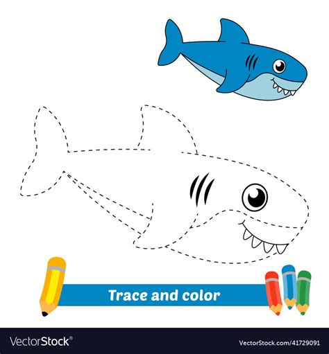 trace  color  kids shark royalty  vector image