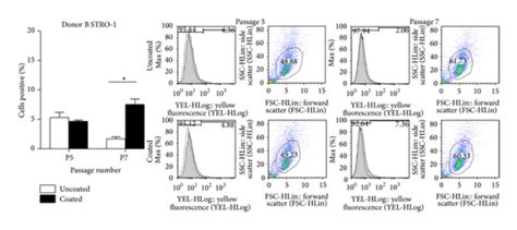 Flow Cytometry Analysis Of Stem Cell Marker Expression Human Mscs From