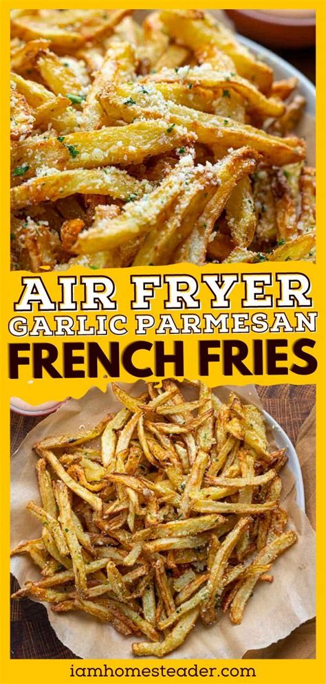 Air Fryer Garlic Parmesan French Fries Recipe Air Fryer Recipes Healthy Air Fryer Recipes