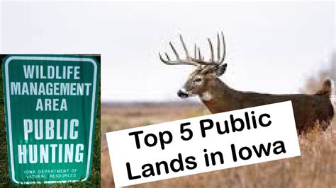 Top 5 Iowa Public Land Deer Hunting YouTube