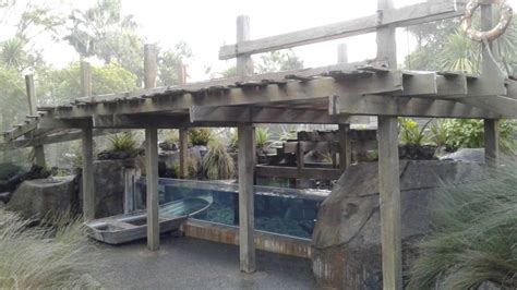 Auckland Zoo Eel Enclosure - Gulf Projects Ltd