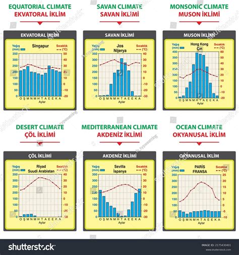 Graph Temperature Precipitation Equatorial Savanna Monsoon Stock Vector ...