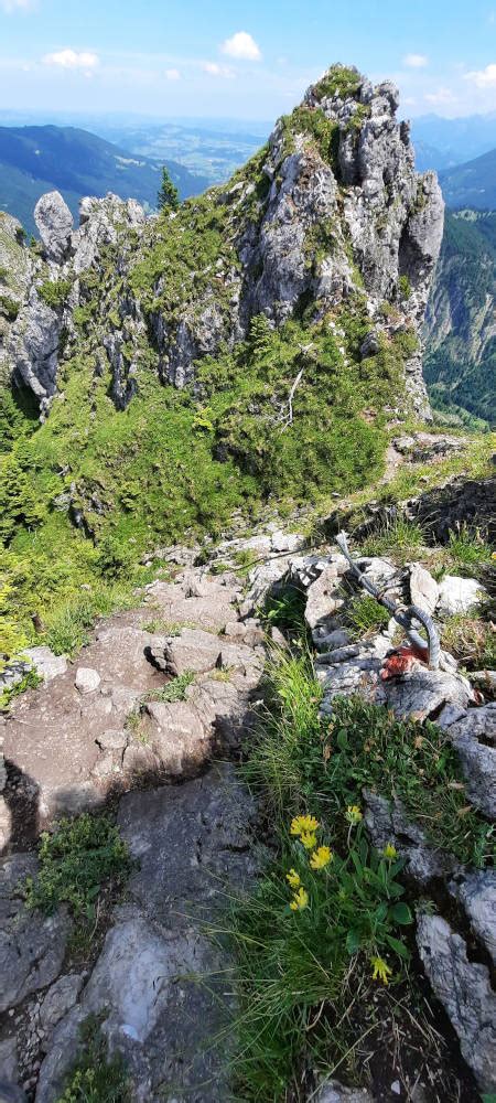 Wanderung Zinken Und Sorgschrofen Allg Uer Alpen