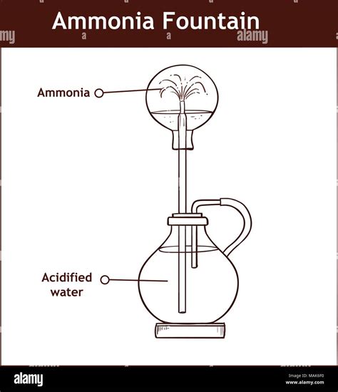 Labelled Diagram Fotos Und Bildmaterial In Hoher Aufl Sung Alamy