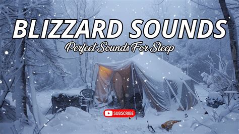 Intense Snowstorm Sounds For Sleeping In A Mountain Forestfrosty Wind