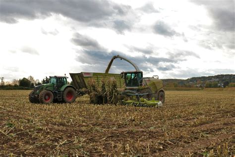 Nagelneuer LU Norbert Mäser Claas Jaguar 970 am 02 11 21 bei der