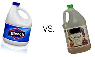 Vinegar vs bleach: what is better? – Couch & Sofa Ideas Interior Design ...