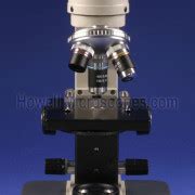 X X Magnification Monocular Biological Compound Light Microscope