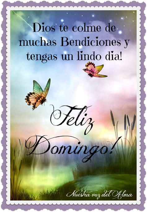 Feliz Domingo Dios Te Colme De Muchas Bendiciones Y Tengas Un Lindo Día Saludos Diariamente