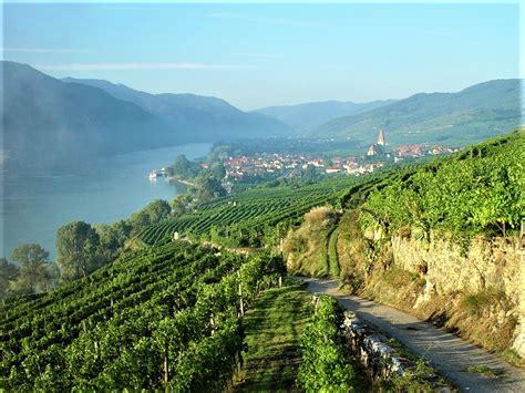 Nieder Sterreichs Winzer Punkten Beim H Rtesten Weinwettbewerb