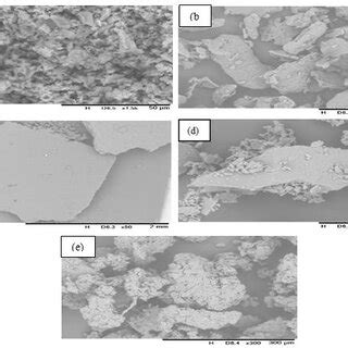 Sem Images Of A Glb B Hpmc C Peg D Na Citrate And E