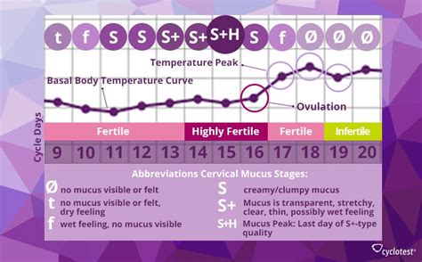 Ovulation Discharge Chart