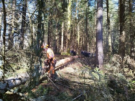 Trois Journ Es De Plantation Saint Santin Cantal S Bts Gestion