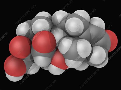 Hydrocortisone Hormone Molecule Stock Image F004 8505 Science