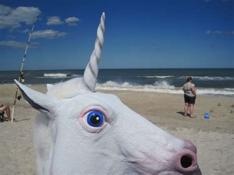 Unicorn sighting | Animals, Funny, Make me smile