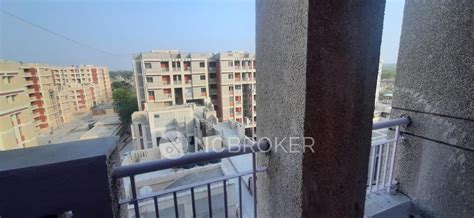 Dda Leaders Vasant Kunj Vasant Kunj Dda Flats Vasant Kunj Rent