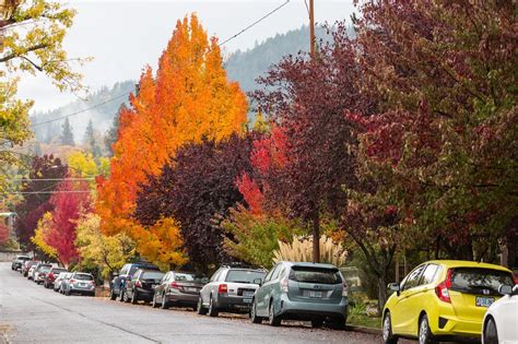 The Best Places To Park In Ashland If You Must Have A Car