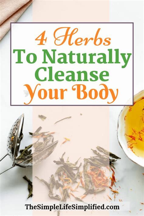 How To Detoxify Your Body Naturally With Herbs The Simple Life