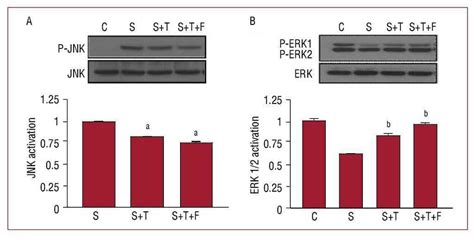 Differential Actions of Eplerenone and Spironolactone on the Protective Effect of Testosterone ...