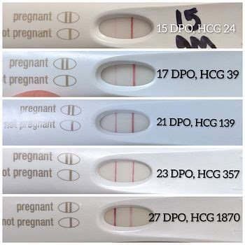 HCG Levels In Early Pregnancy BabyCenter