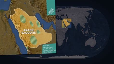 Le dessous des cartes - Magazine de géopolitique sur Télé 7 Jours