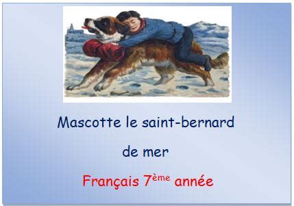 Mascotte Le Saint Bernard De Mer Fran Ais Me