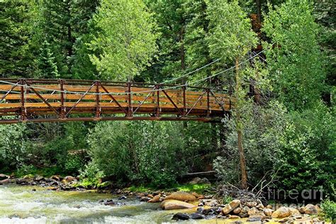 Wilderness Bridge Photograph By Linda Carol Case Fine Art America