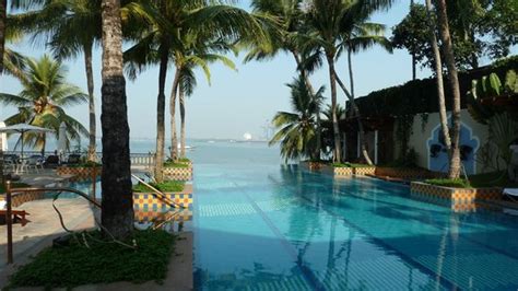 Pool Picture Of Taj Malabar Resort And Spa Cochin Kochi Cochin