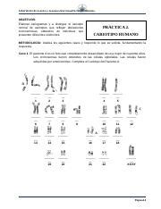 Cromosomas docx Laboratorio de Genética y Genómica