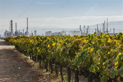 Oil production, California, USA - Stock Image - C057/0815 - Science ...