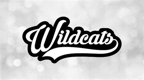 Sports Clipart: wildcats Team Name in Fancy Type - Etsy