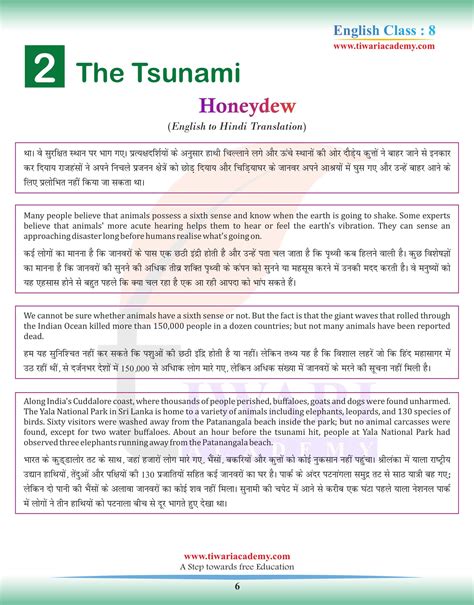 Ncert Solutions For Class 8 English Honeydew Chapter 2 The Tsunami