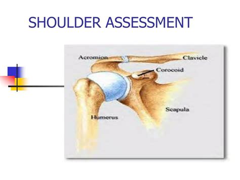 Ppt Shoulder Assessment Powerpoint Presentation Free Download Id 6259610