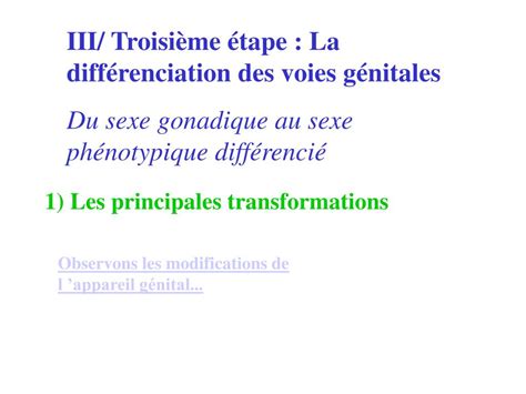 PPT Chapitre IV La procréation PowerPoint Presentation free download