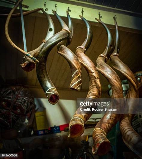 Kudu Horn Instrument Photos and Premium High Res Pictures - Getty Images