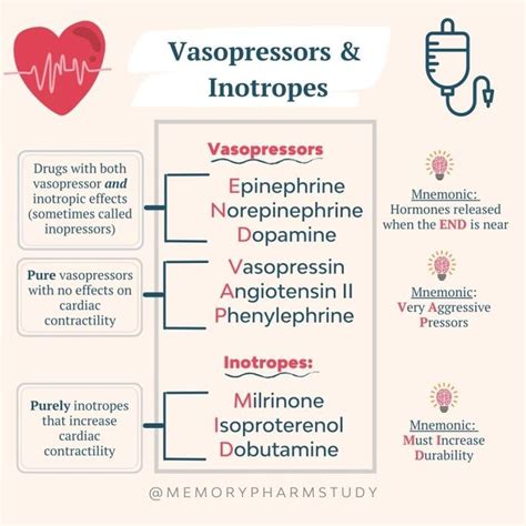 Vasopressors And Inotropes⁠ Pharmacology Nursing Nursing School