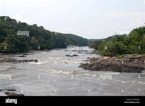 Ituri River Near Bomili Village With People Washing Clothes On Right Hand Side Ituri Forest