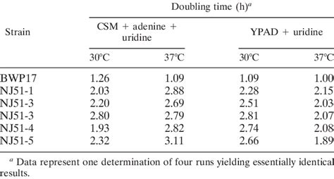 Growth Of Wild Type And Erg24 Strains Of C Albicans With Various Media