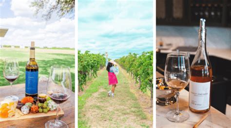 Fredericksburg Wineries To Visit In Summer My Curly Adventures